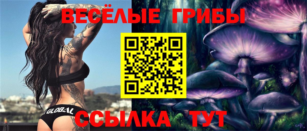 Псилоцибиновые грибы ЛСД Тимашёвск