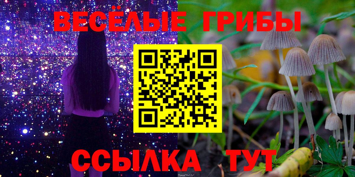Псилоцибиновые грибы MAGIC MUSHROOMS  Вход с VPN  Тимашёвск  Псилоцибиновые грибы Cubensis 